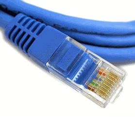 BJR Security blue patch lead cat5e